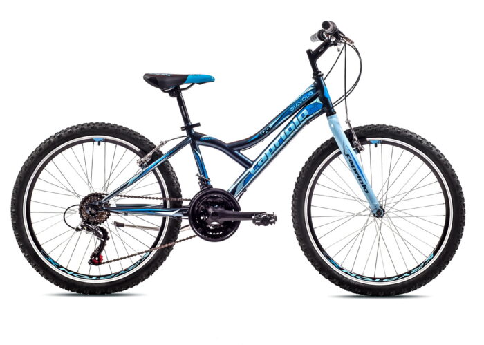 Bicikl Capriolo Diavolo 400 sivo plavi