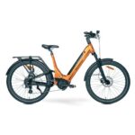 MS-Energy-SUV-c502-Electric-Bike-465x465
