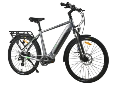 Električni bicikl MS Energy C101 eBike