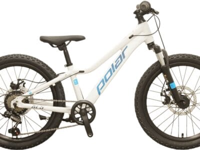 Bicikl Polar Alaska 20 silver