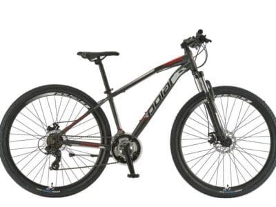 Bicikl Polar Wizard 29 grey red