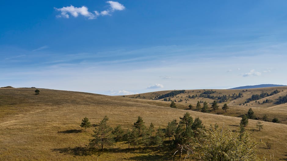 Beautiful panoramic view of rolling hills and pine trees in Zlatibor, Serbia under a blue sky.