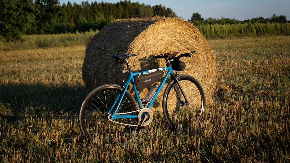 A blue bicycle rests against a hay bale in a rural field during sunset.