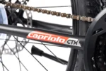 bicikl-capriolo-ctx-240-2418ht-svsivo-crveno-1781184293-853283